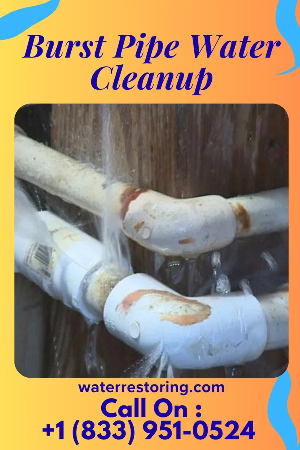 Burst Pipe Water Cleanup in Prairie View, TX