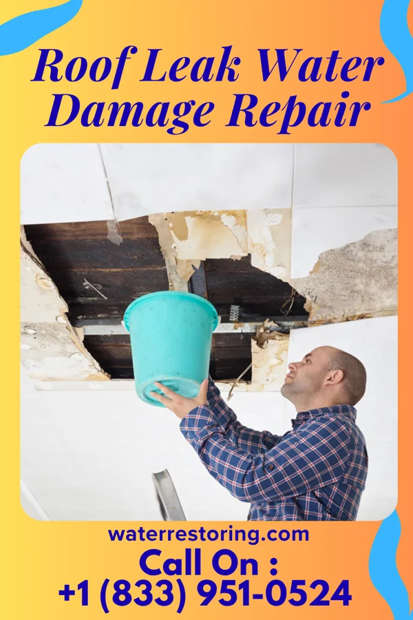 Roof Leak Water Damage Repair in Prairie View, TX